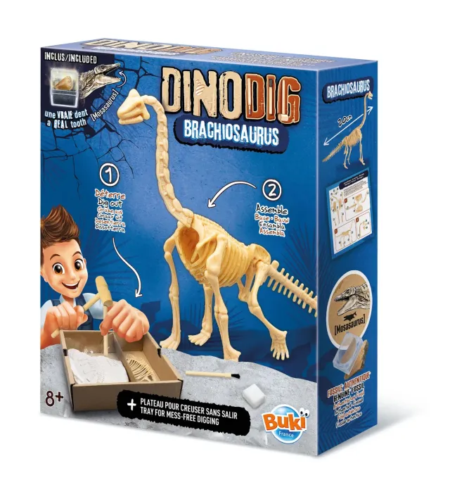 Buki Brachiosaurus Dino zum Ausgraben mit Mosasauruszahn