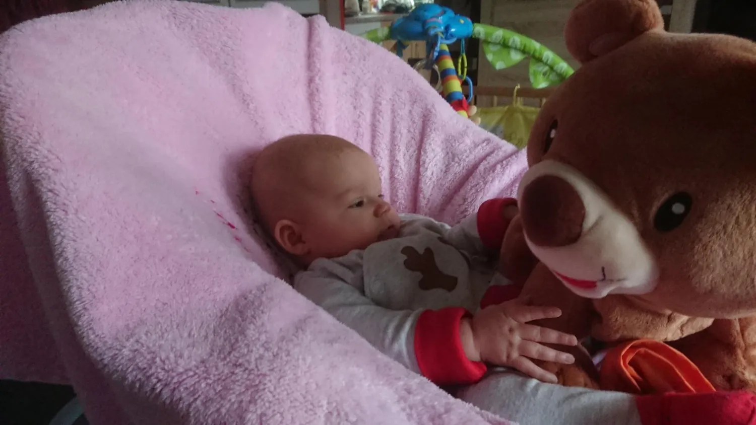 VTech Krabbel-mit-Mir-Bär Plüschtier Deutsch 9-36 Monate