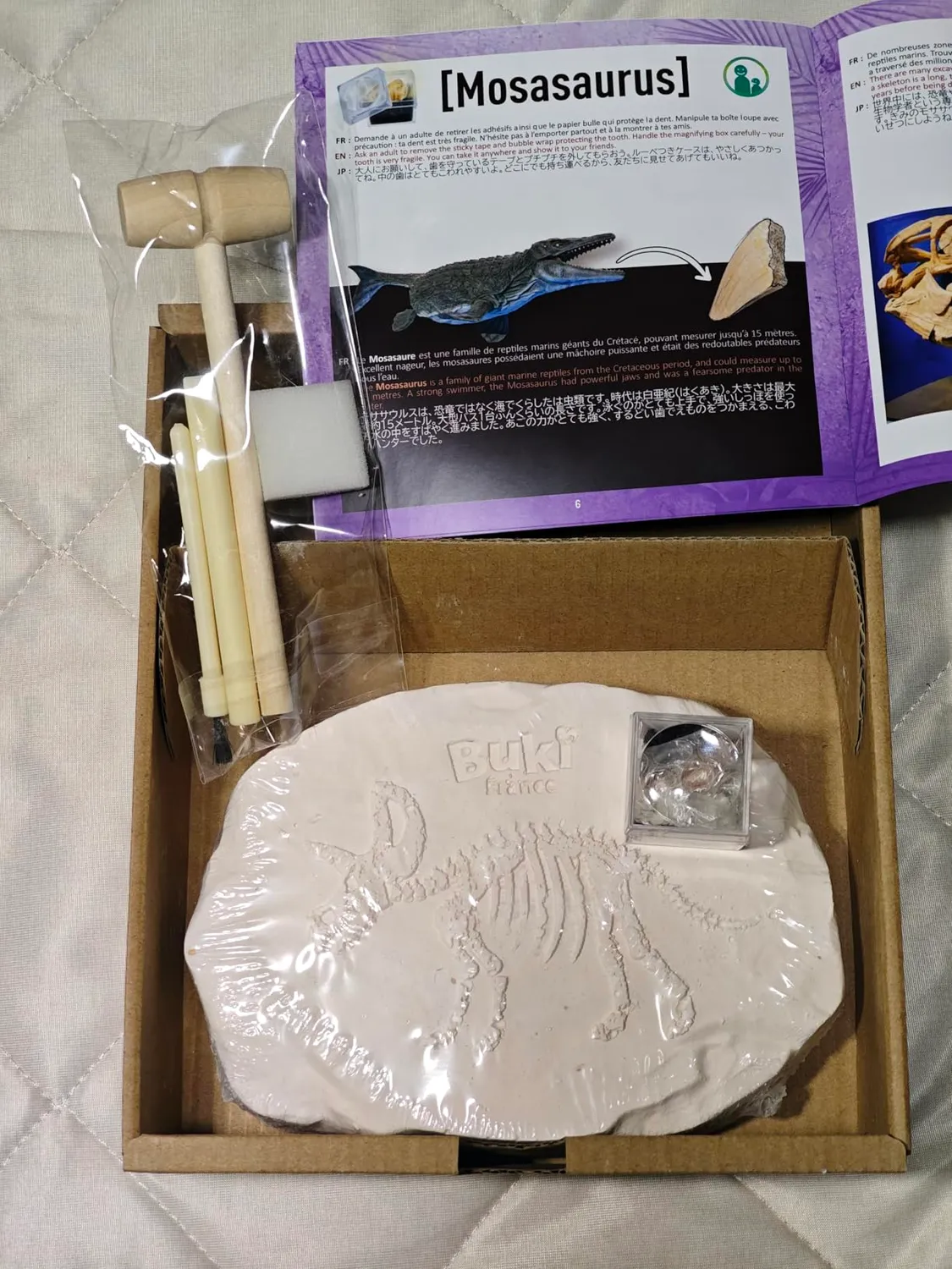 Buki France 445TRI Ausgrabungsset Triceratops 20 cm ab 8 Jahren