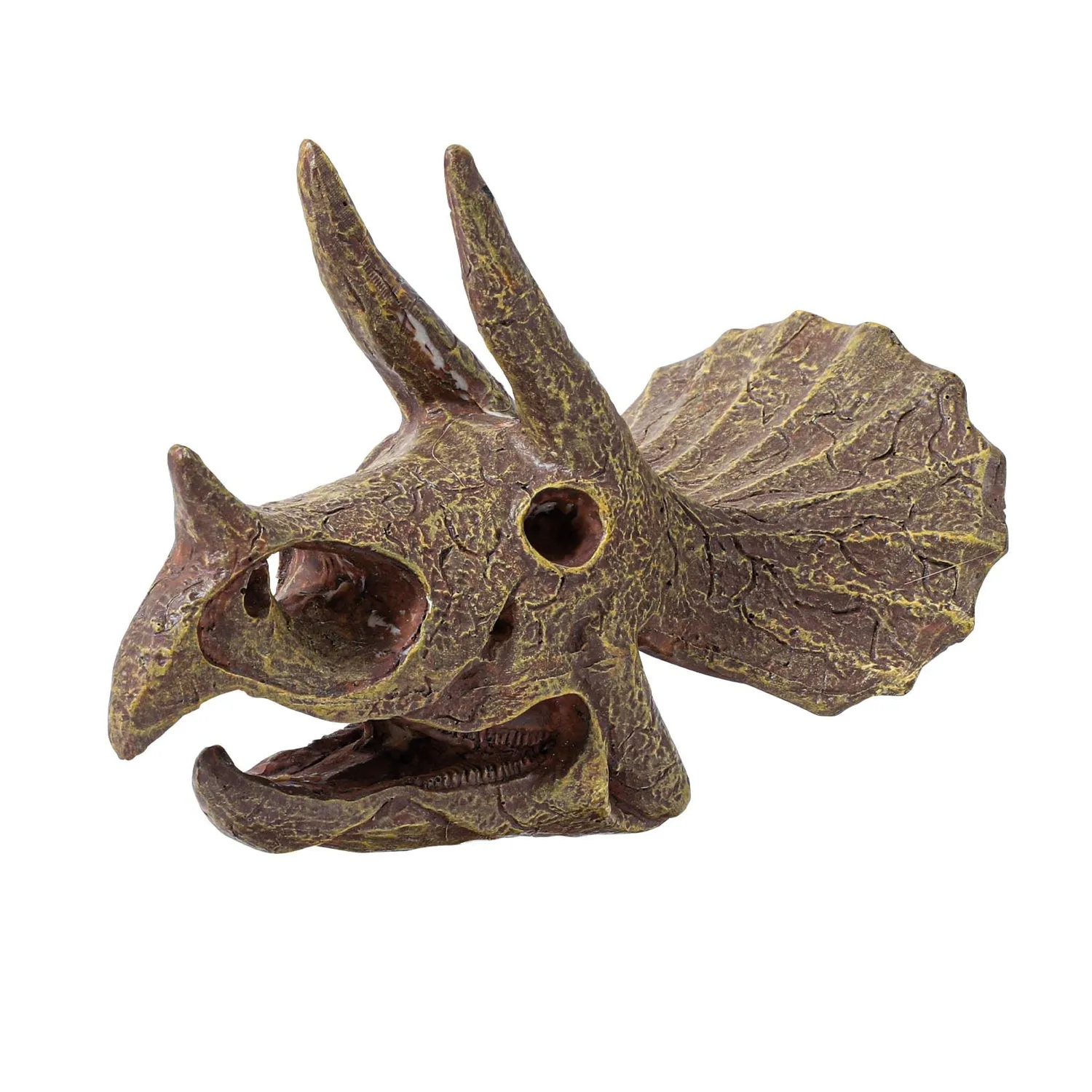 Buki France 2131 Triceratops Schädel Ausgrabungsset ab 8 Jahre