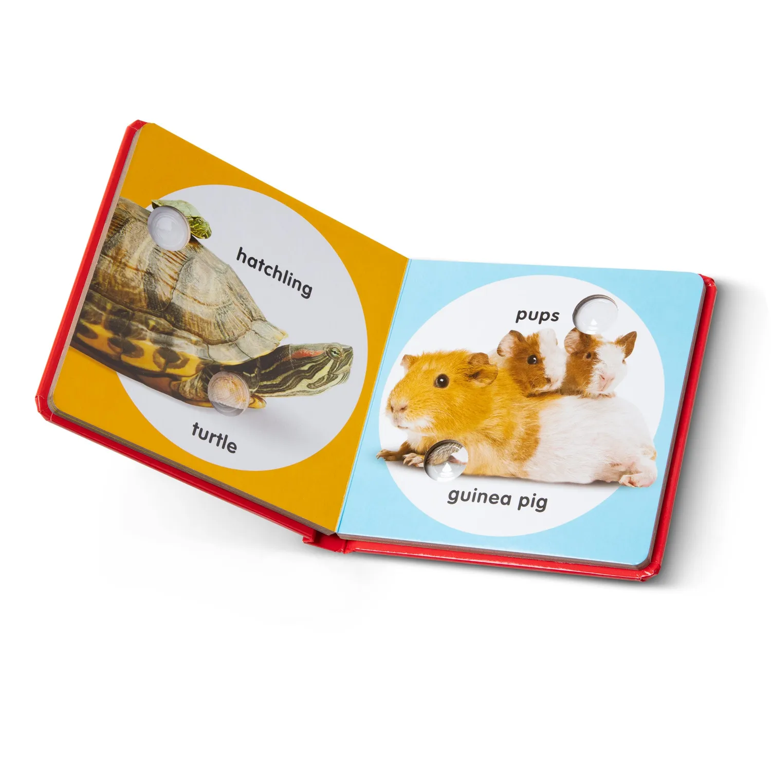 Melissa & Doug Poke-a-Dot Pet Families Pappbilderbuch
