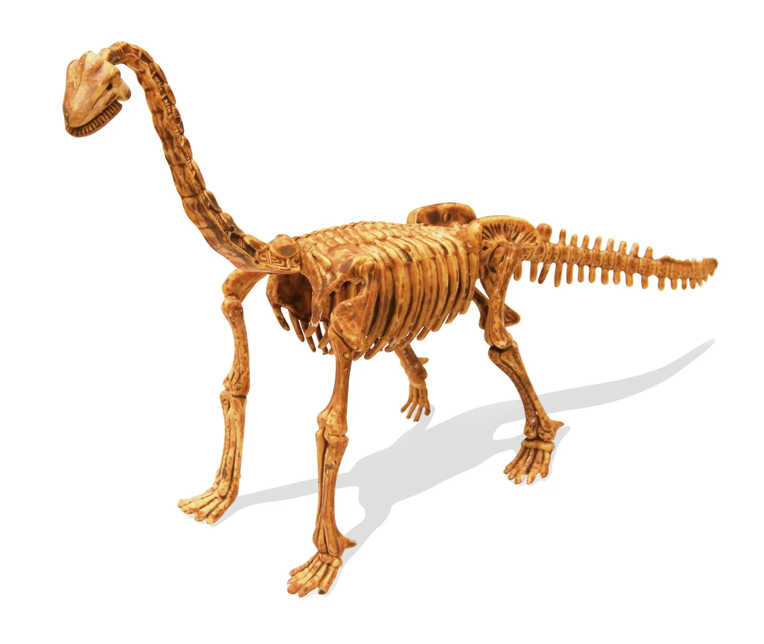 Buki Ausgrabungsset Brachiosaurus 439BRA ab 8 Jahren