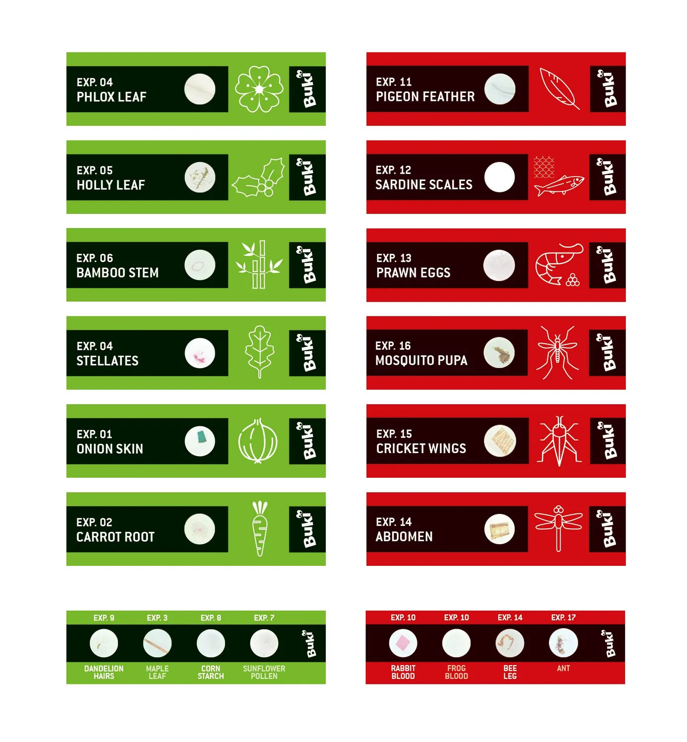 Buki France MR001 Mikroskop-Präparate Set 20 Proben für Kinder