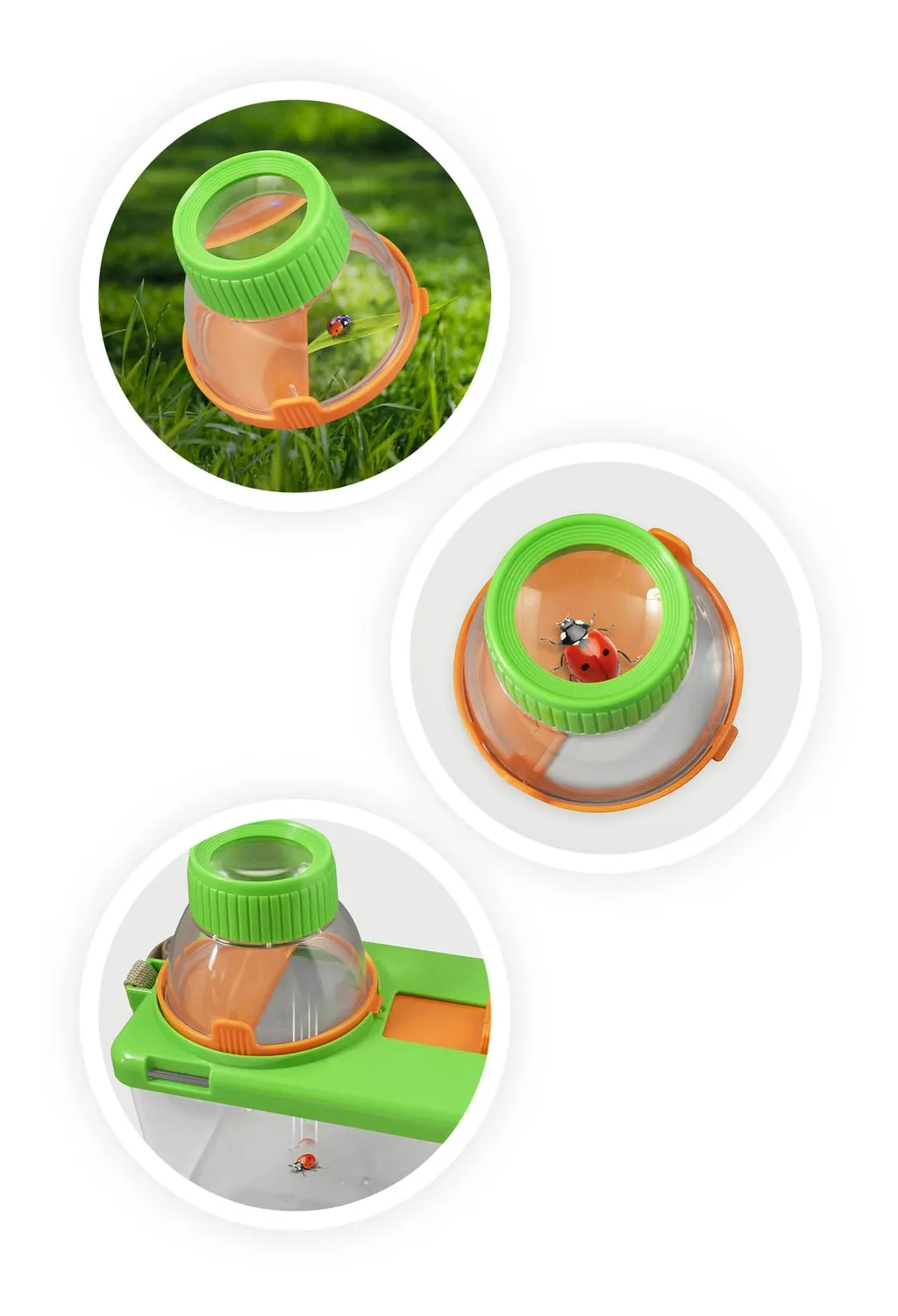 Buki France BL034 Terrarium Experimentierkasten mit Lupen