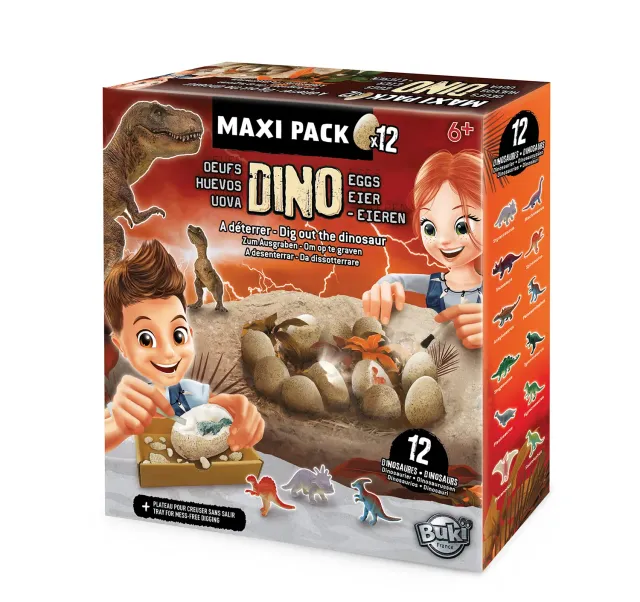 Buki France Dino Eier 2138 Ausgrabungsset 12er Pack ab 6 Jahre