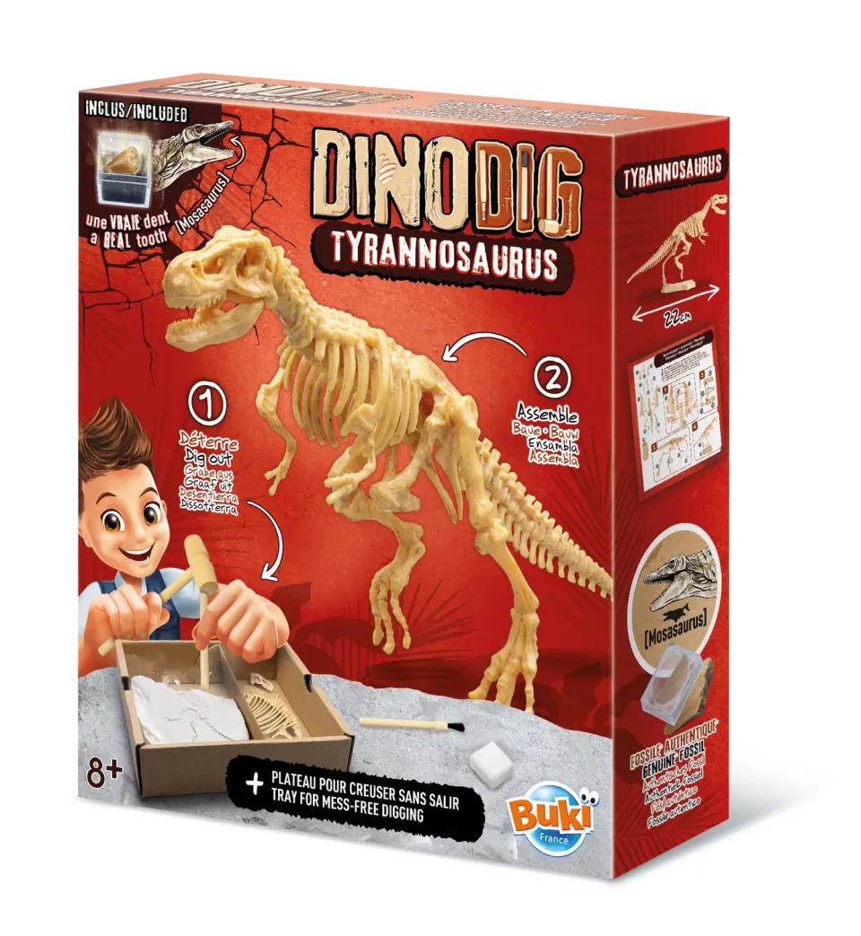 Buki Dino zum Ausgraben 445TYR Set T-Rex mit Zahn