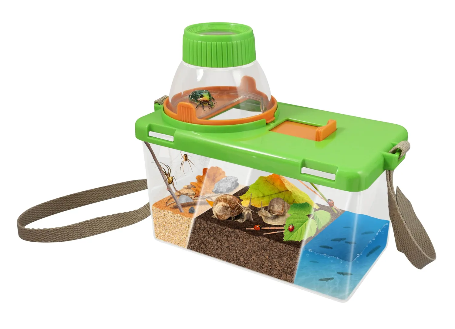 Buki France BL034 Terrarium Experimentierkasten mit Lupen