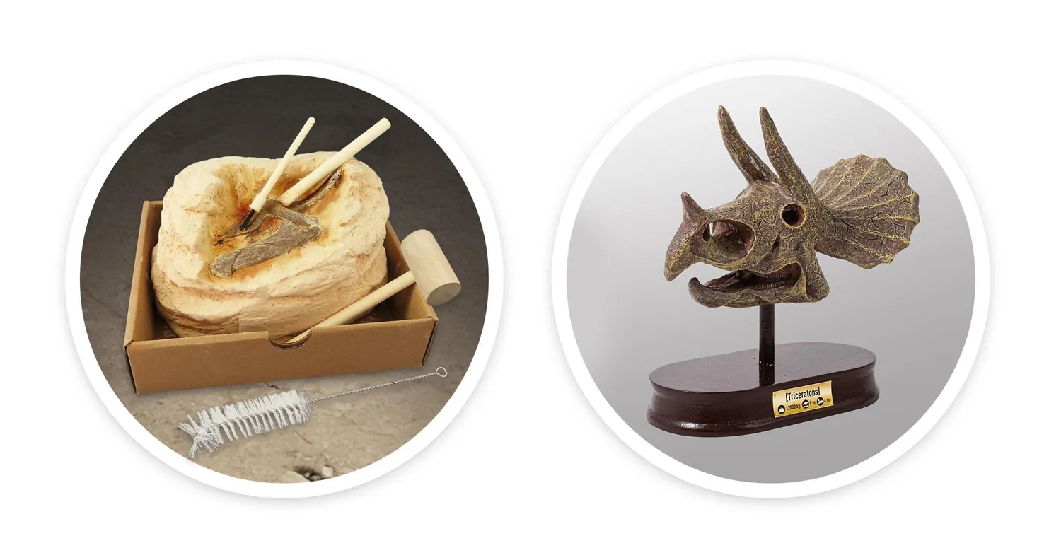 Buki France 2131 Triceratops Schädel Ausgrabungsset ab 8 Jahre