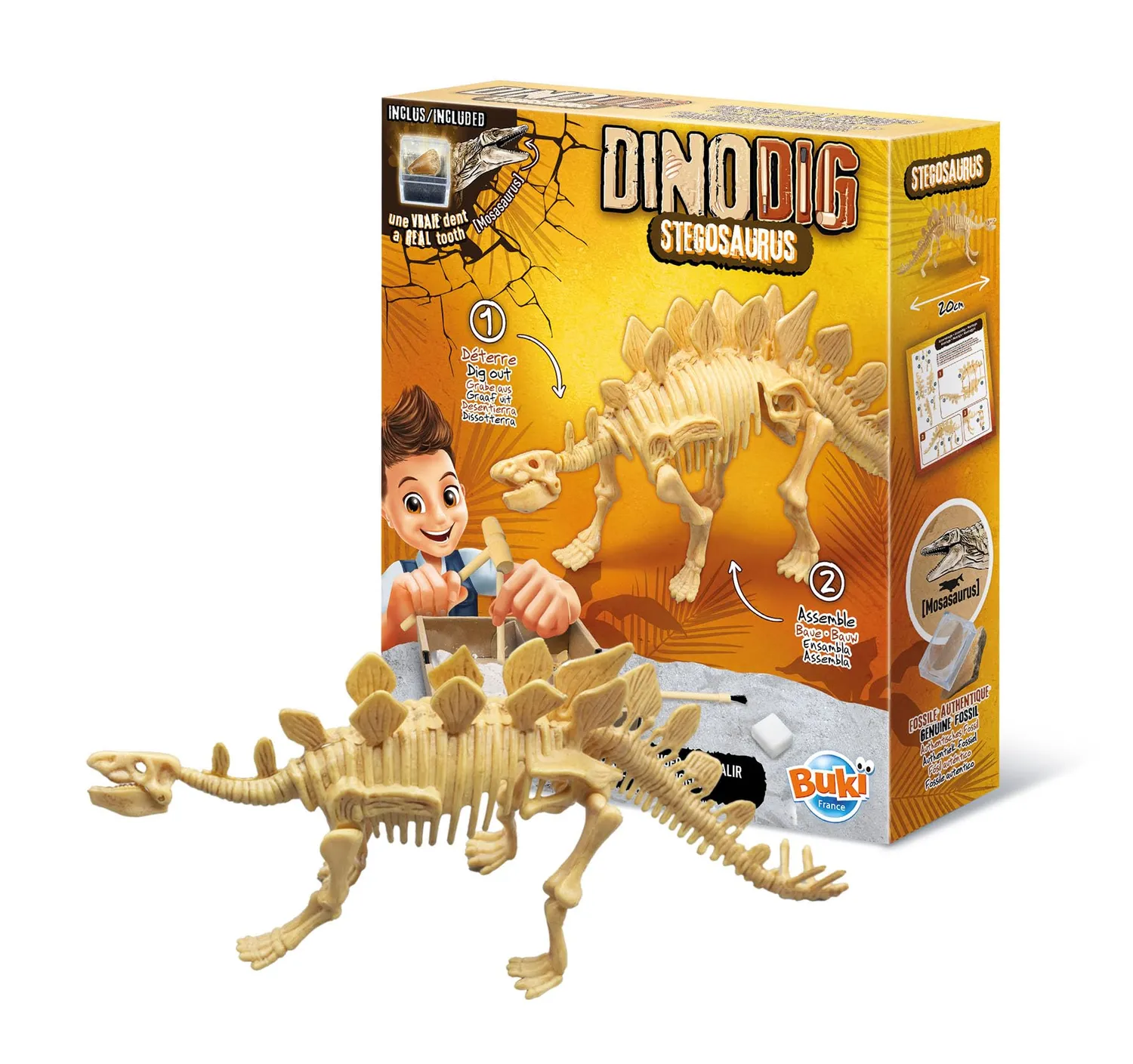Buki France 445STE Ausgrabungsset Stegosaurus 20 cm ab 8 Jahren