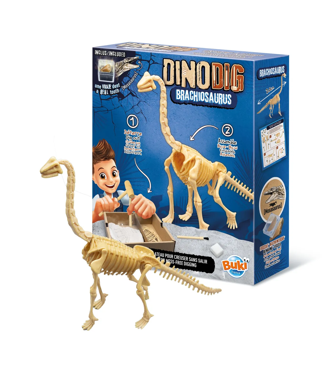 Buki Brachiosaurus Dino zum Ausgraben mit Mosasauruszahn