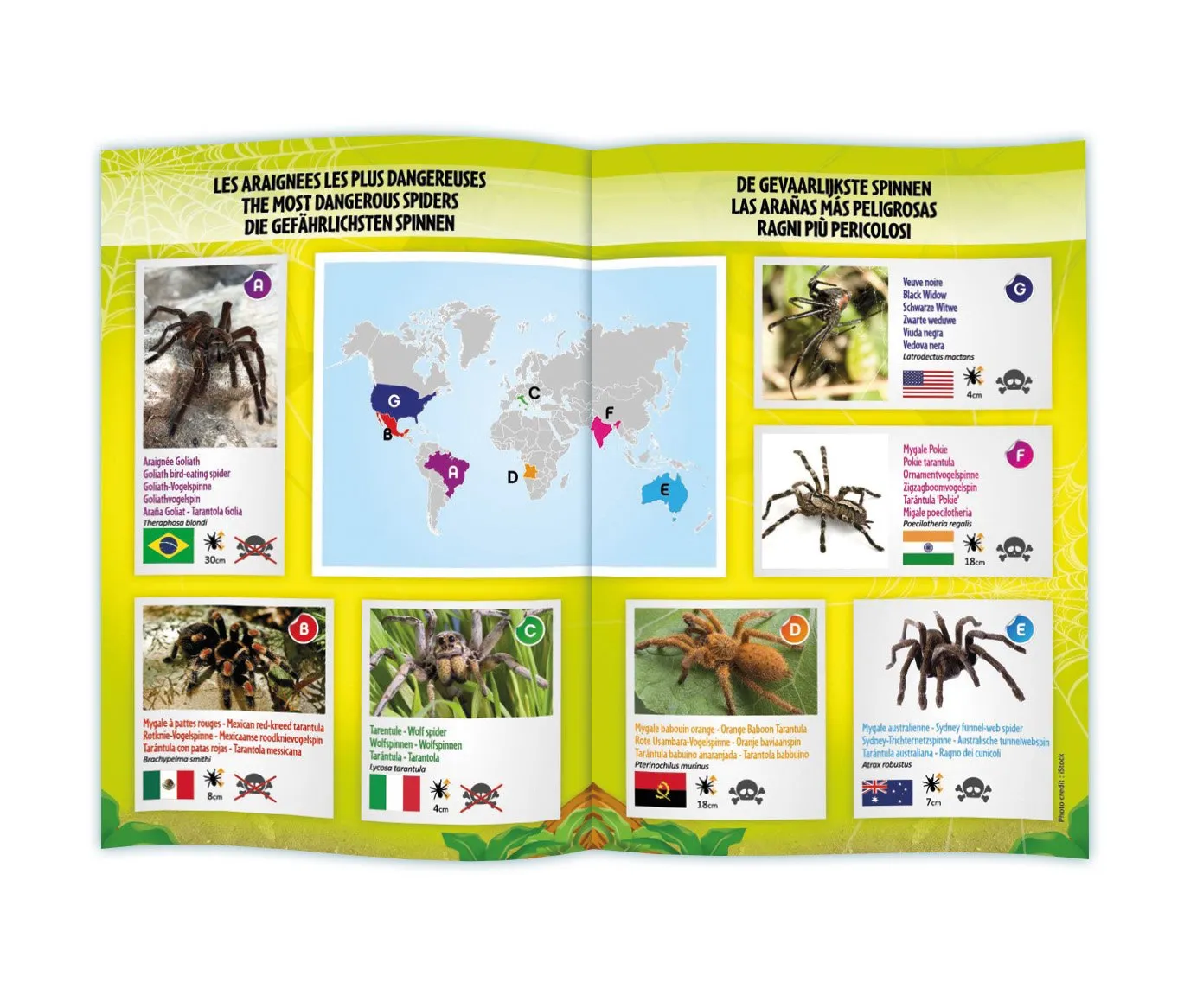 Buki 37291 Funkgesteuerte Tarantel Spinne ferngesteuert