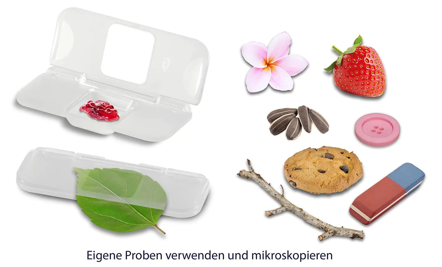 VTech Video-Mikroskop LCD Kinder ab 7 Jahren BBC Videos