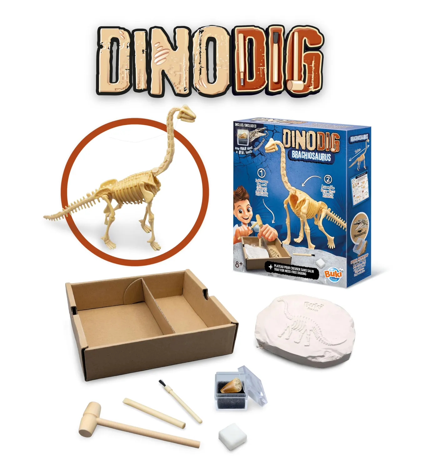 Buki Brachiosaurus Dino zum Ausgraben mit Mosasauruszahn