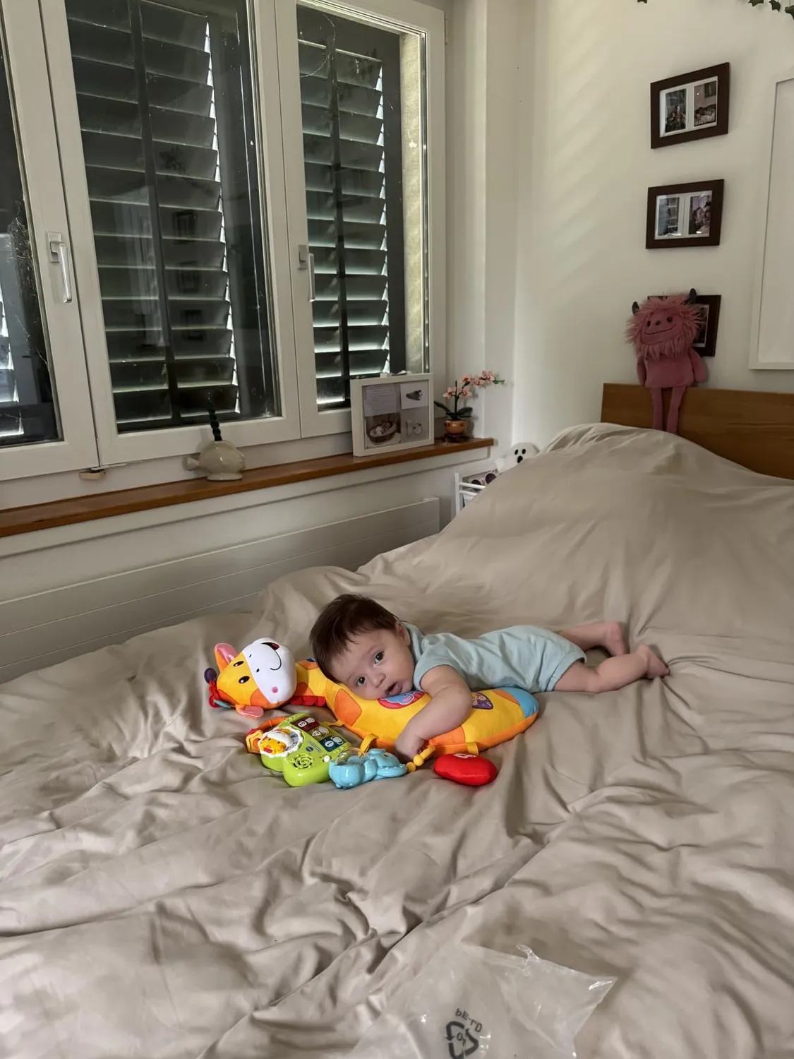 VTech Baby Giraffenkissen Kuschelkissen 0-24 Monate Musik