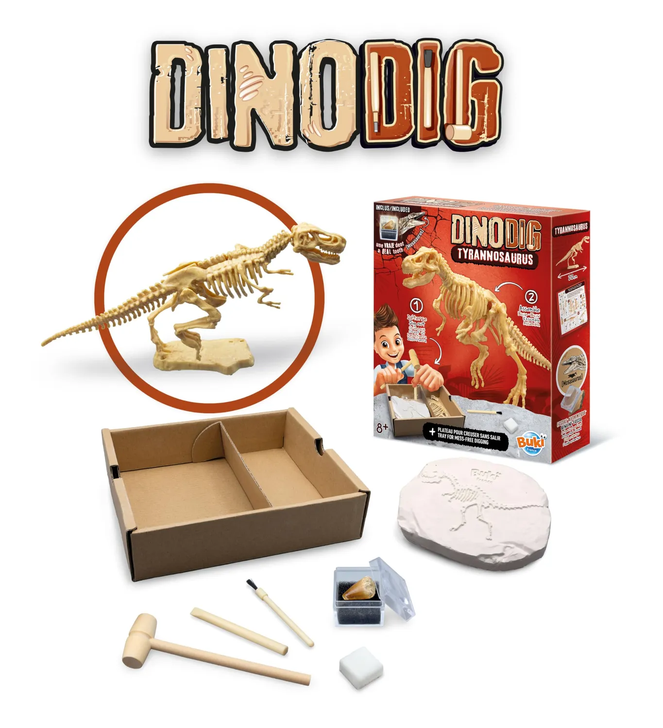 Buki Dino zum Ausgraben 445TYR Set T-Rex mit Zahn