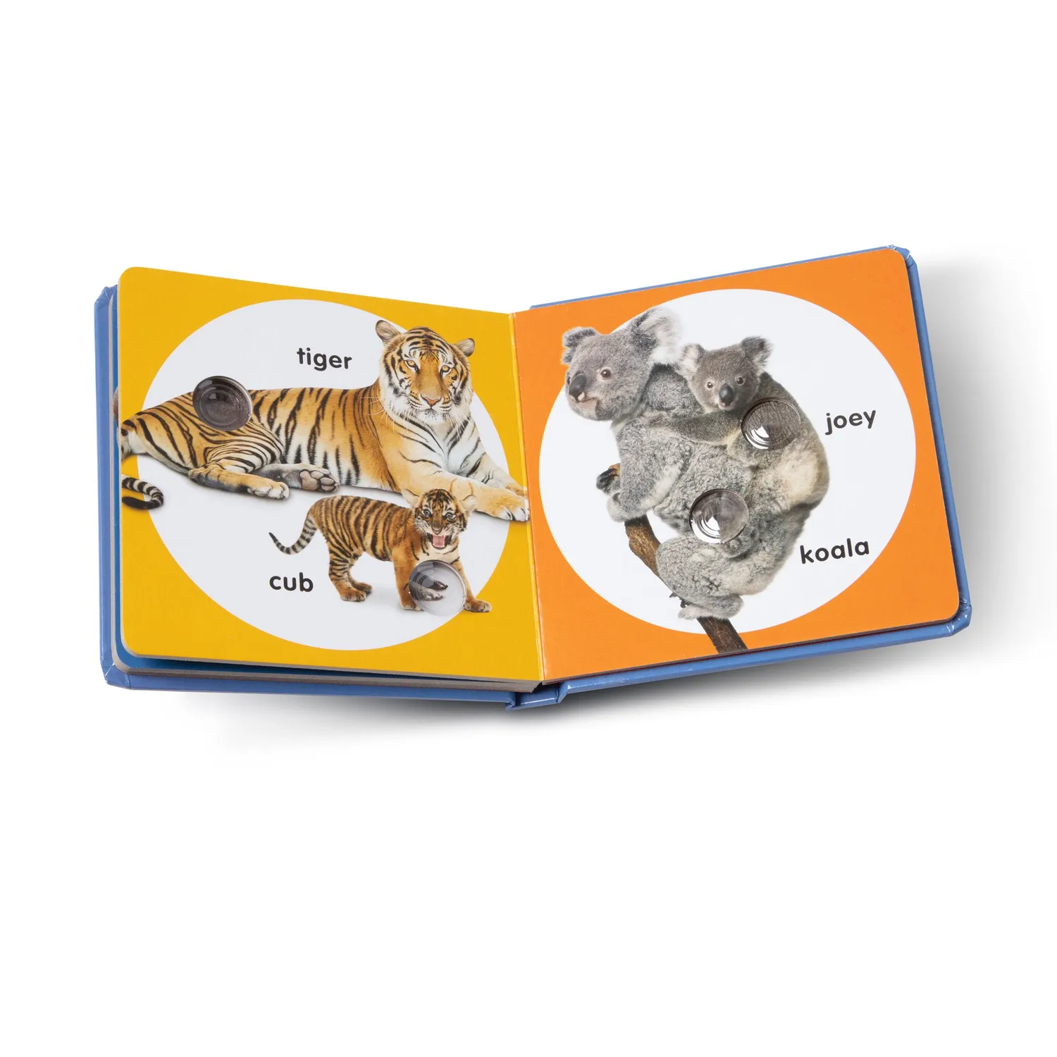 Melissa & Doug Poke-a-Dot Wild Animal Families Pappbilderbuch Tiere