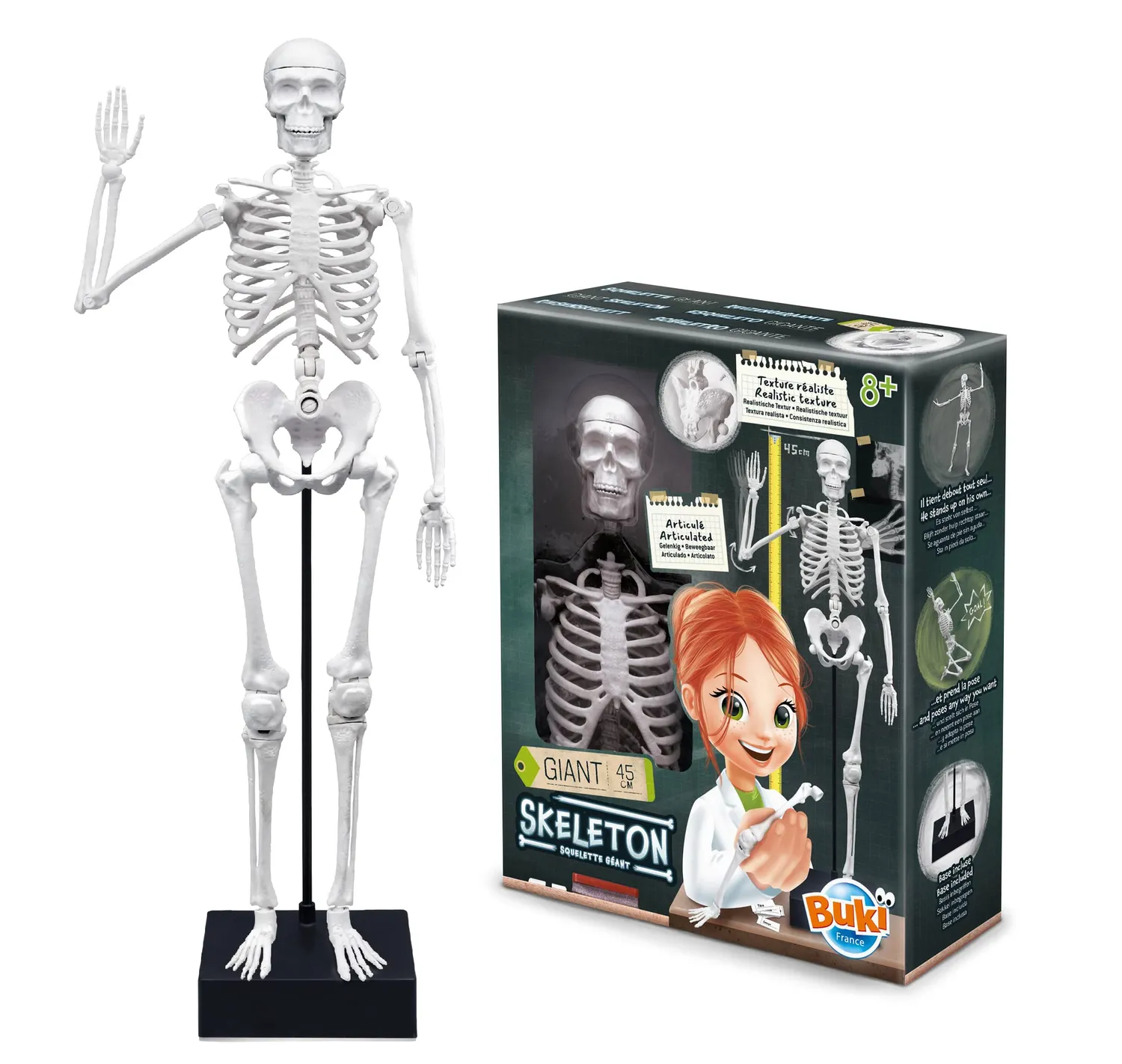 Buki France 2180 Skelett Modell 45 cm Anatomie
