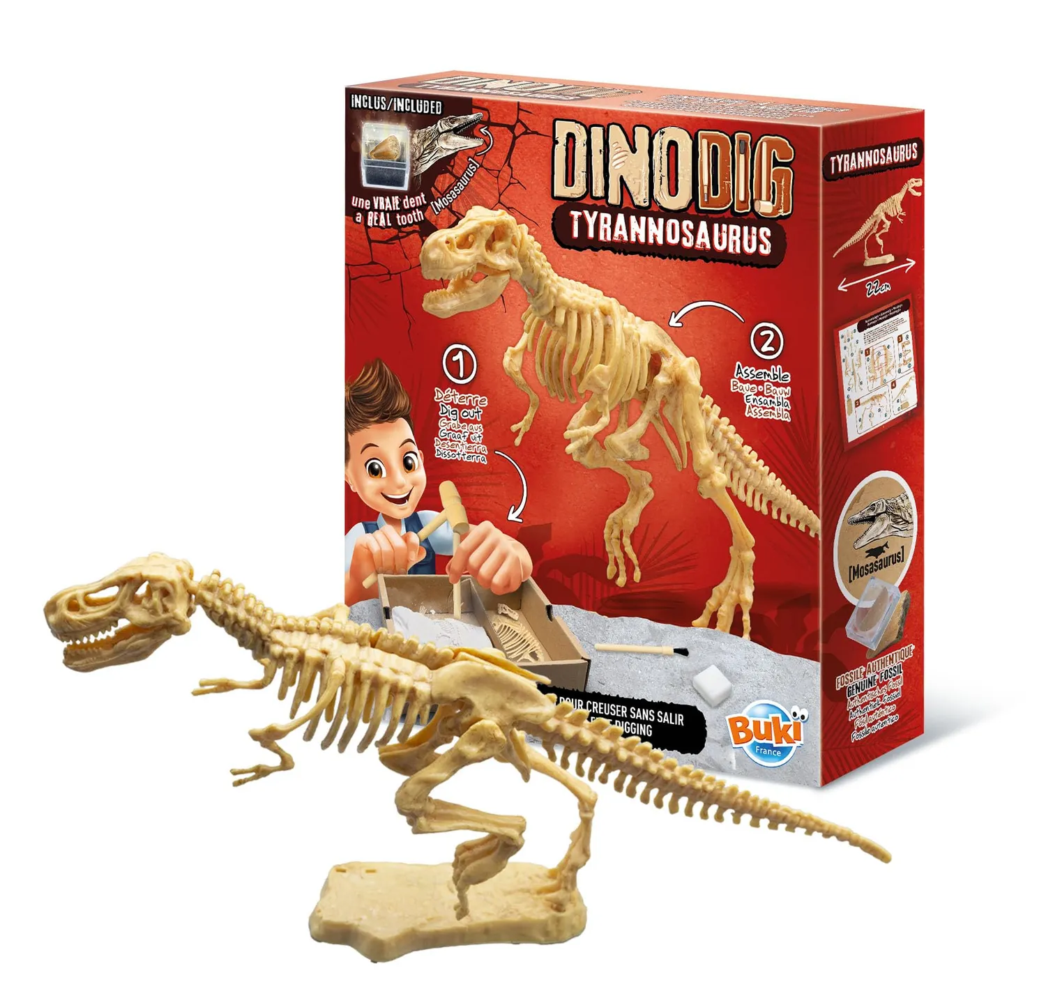 Buki Dino zum Ausgraben 445TYR Set T-Rex mit Zahn