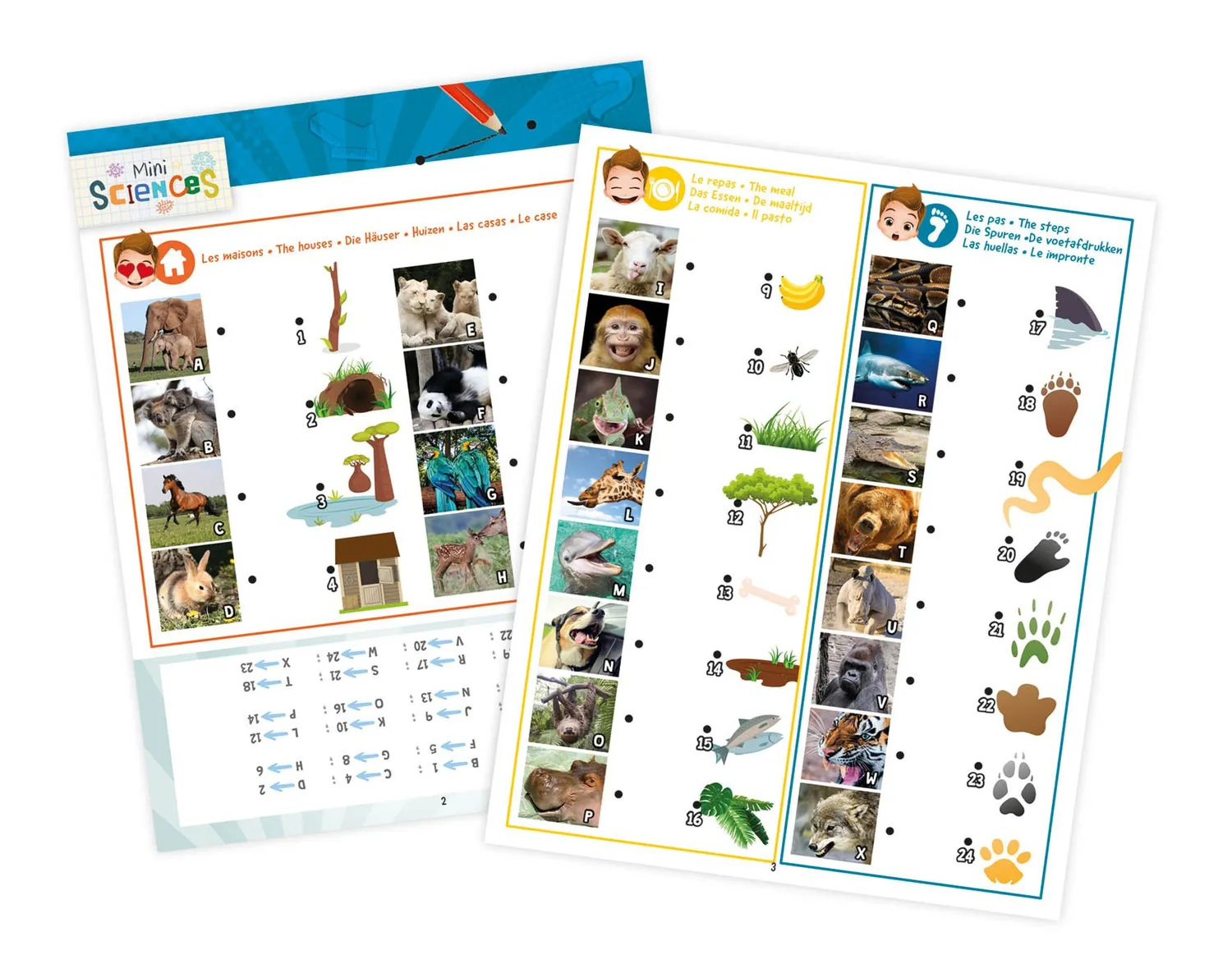 Buki Mini Sciences Laterne 3-in-1 Tiere Nachtlicht