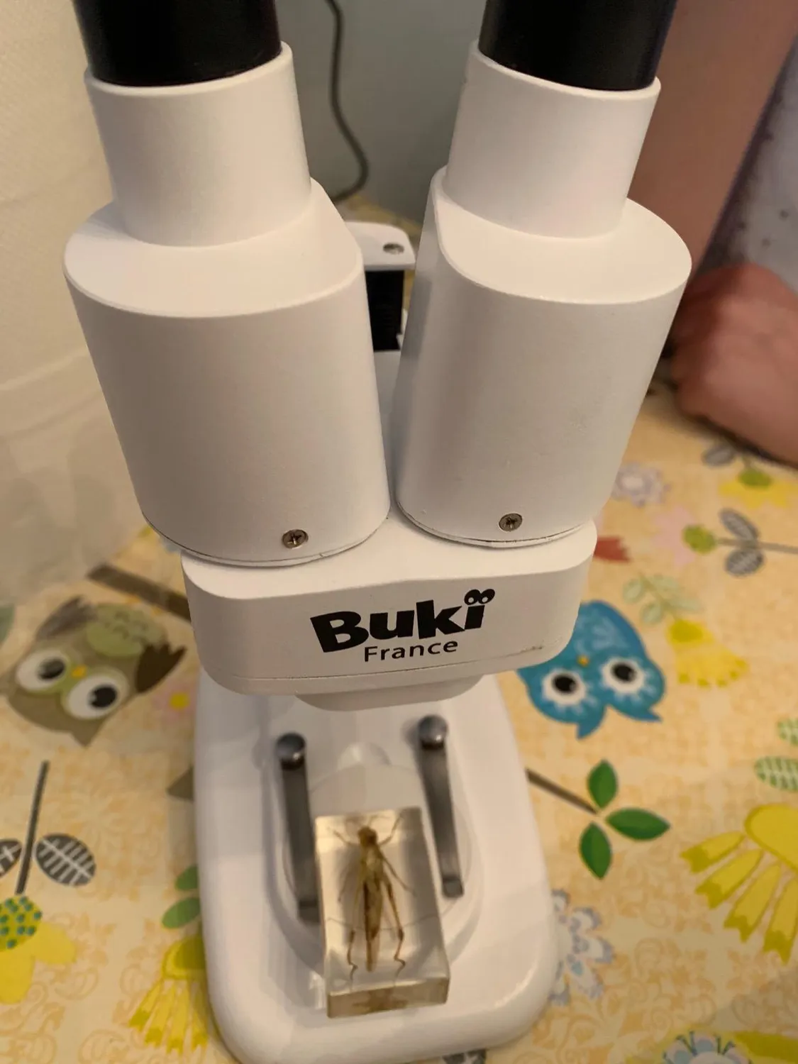 Buki MR500 Binokularmikroskop 3D Experimentierkasten ab 8 Jahre
