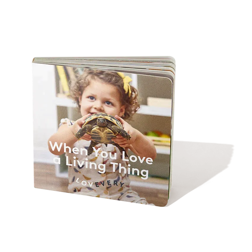 Lovevery Play Kits Enthusiasten Bücherpaket englisch 2er