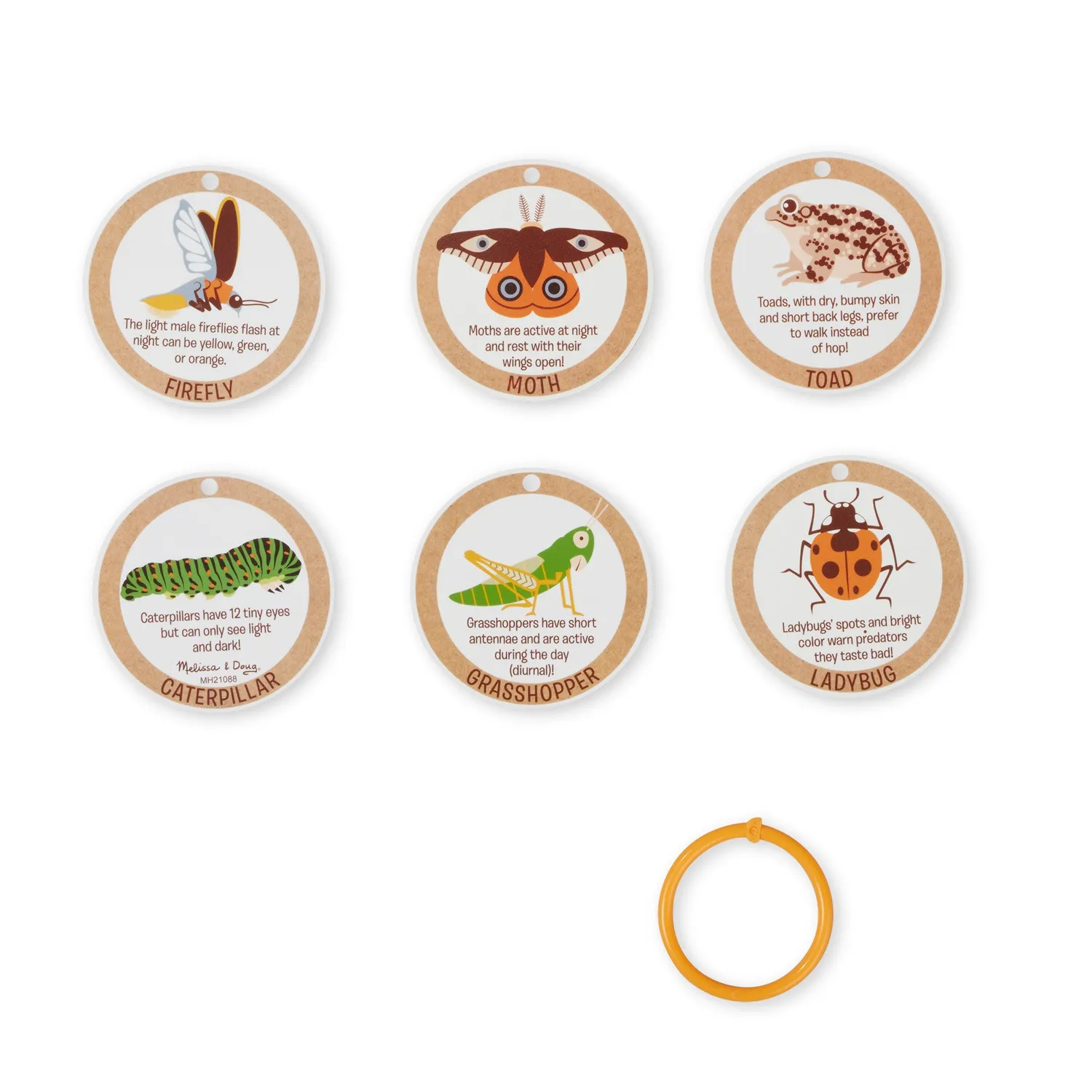 Melissa & Doug Let's Explore Terrarium Beobachtungsset Insekten