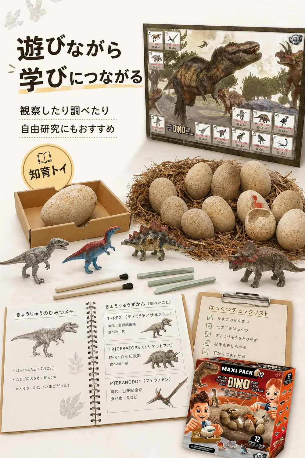 Buki France Dino Eier 2138 Ausgrabungsset 12er Pack ab 6 Jahre