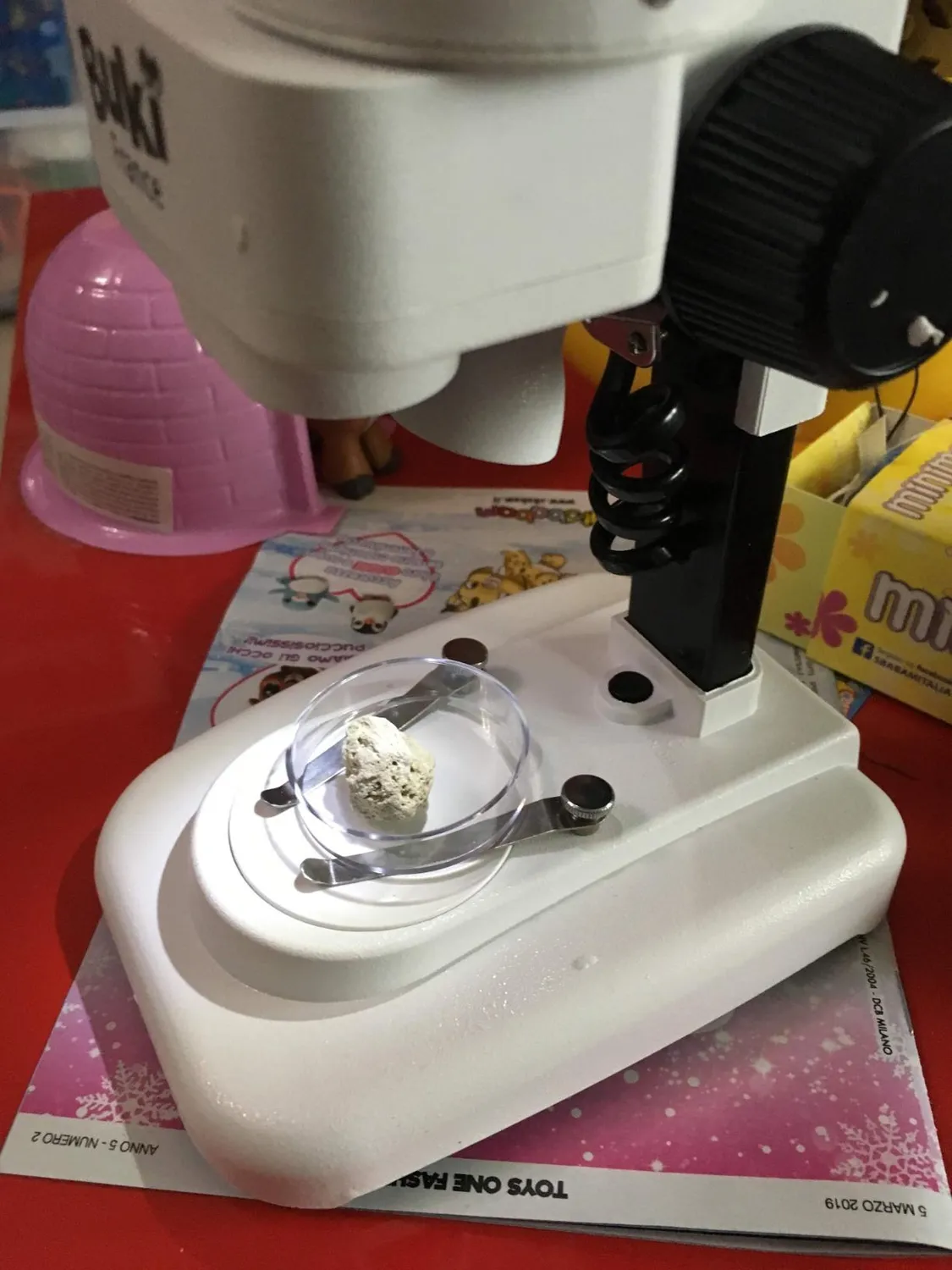 Buki MR500 Binokularmikroskop 3D Experimentierkasten ab 8 Jahre