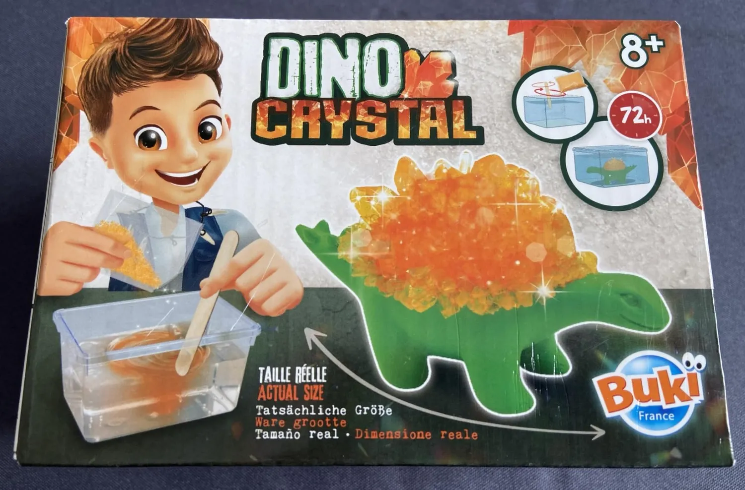 Buki 9009 Dinosaurier-Kristalle Experimentierset ab 8 Jahren