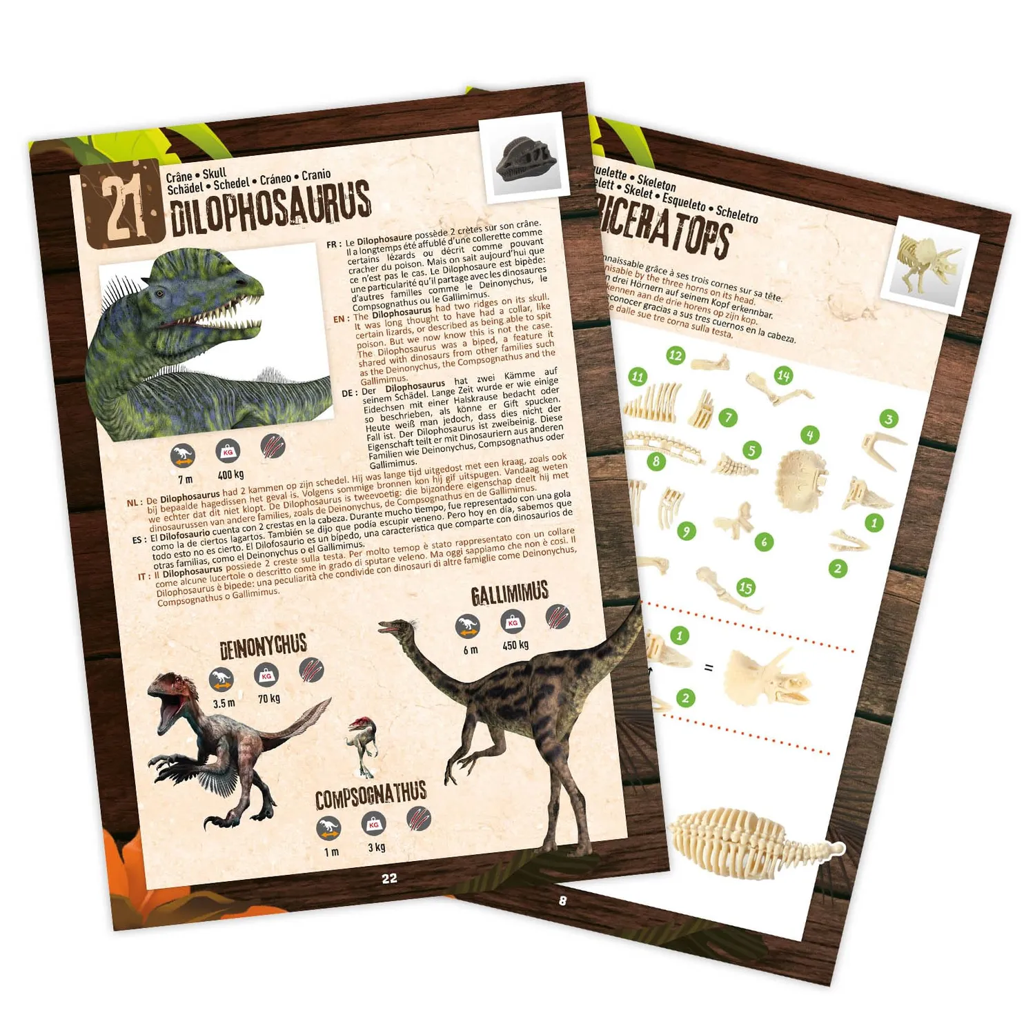 Buki France 2135 Dino Surprise Box 25 Türchen Kalender