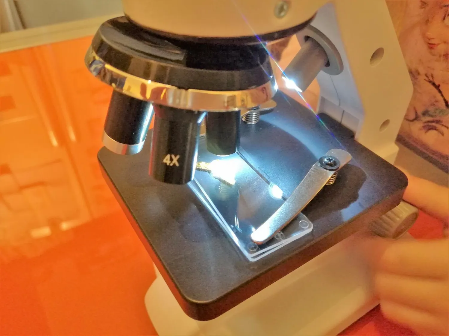 Buki MR600 Mikroskop 50 Experimente mit Glaslinsen LED