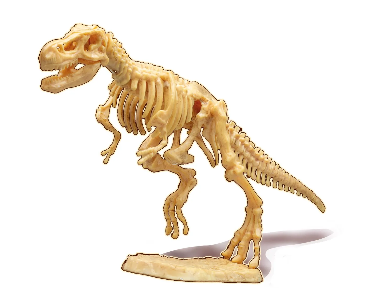 Buki Dino zum Ausgraben 445TYR Set T-Rex mit Zahn