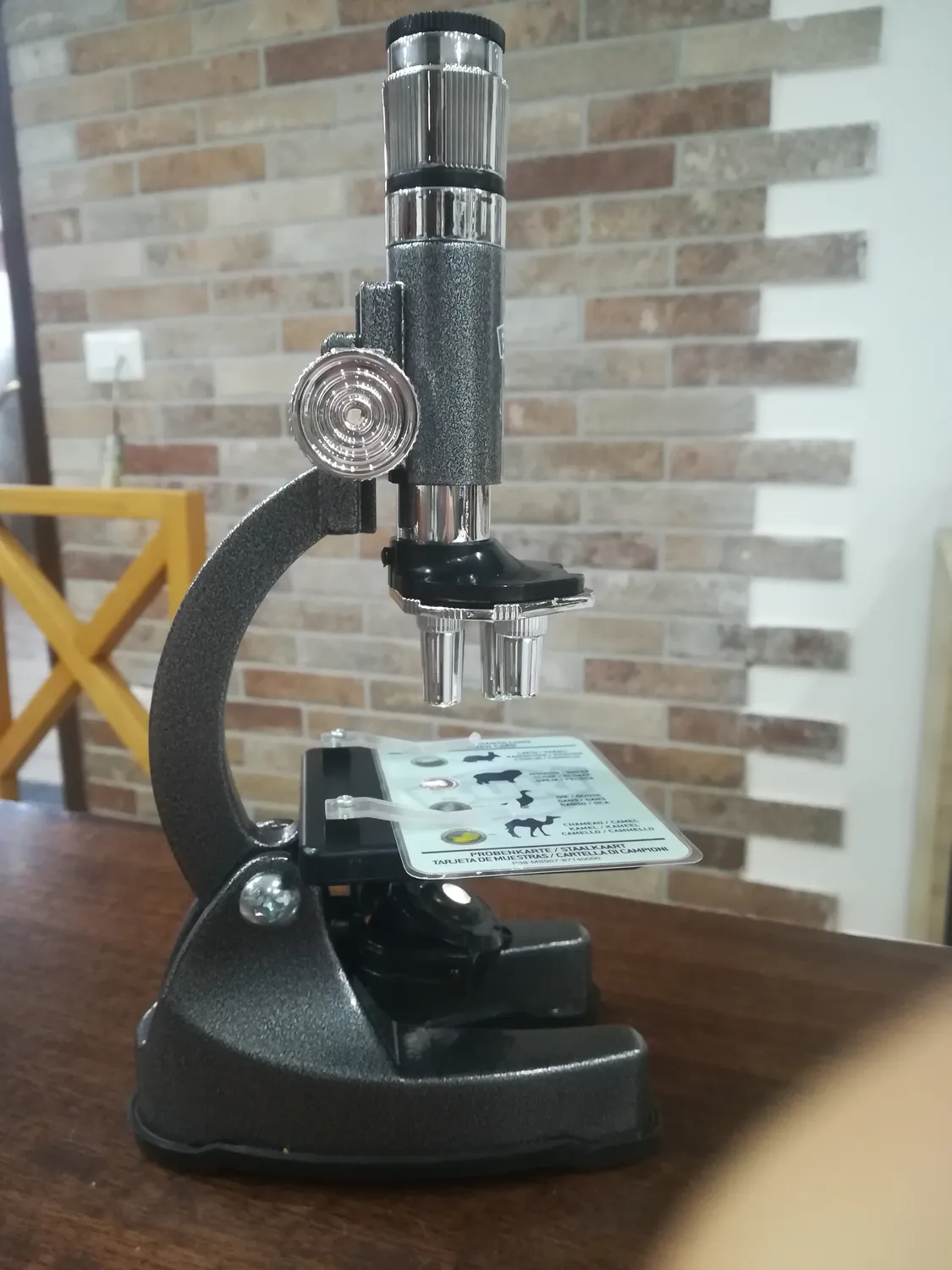 Buki Mikroskop MS907B 30 Experimente Kinder x1200
