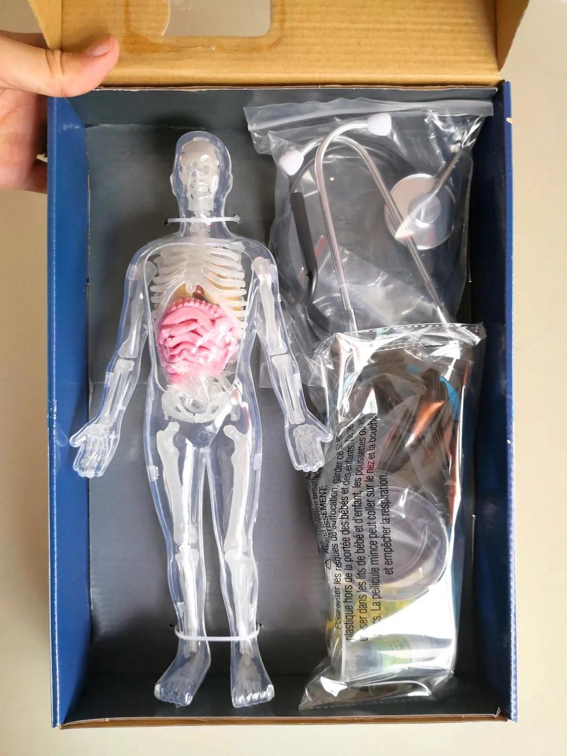 Buki 2163 Der menschliche Körper Anatomie-Set mit Stethoskop