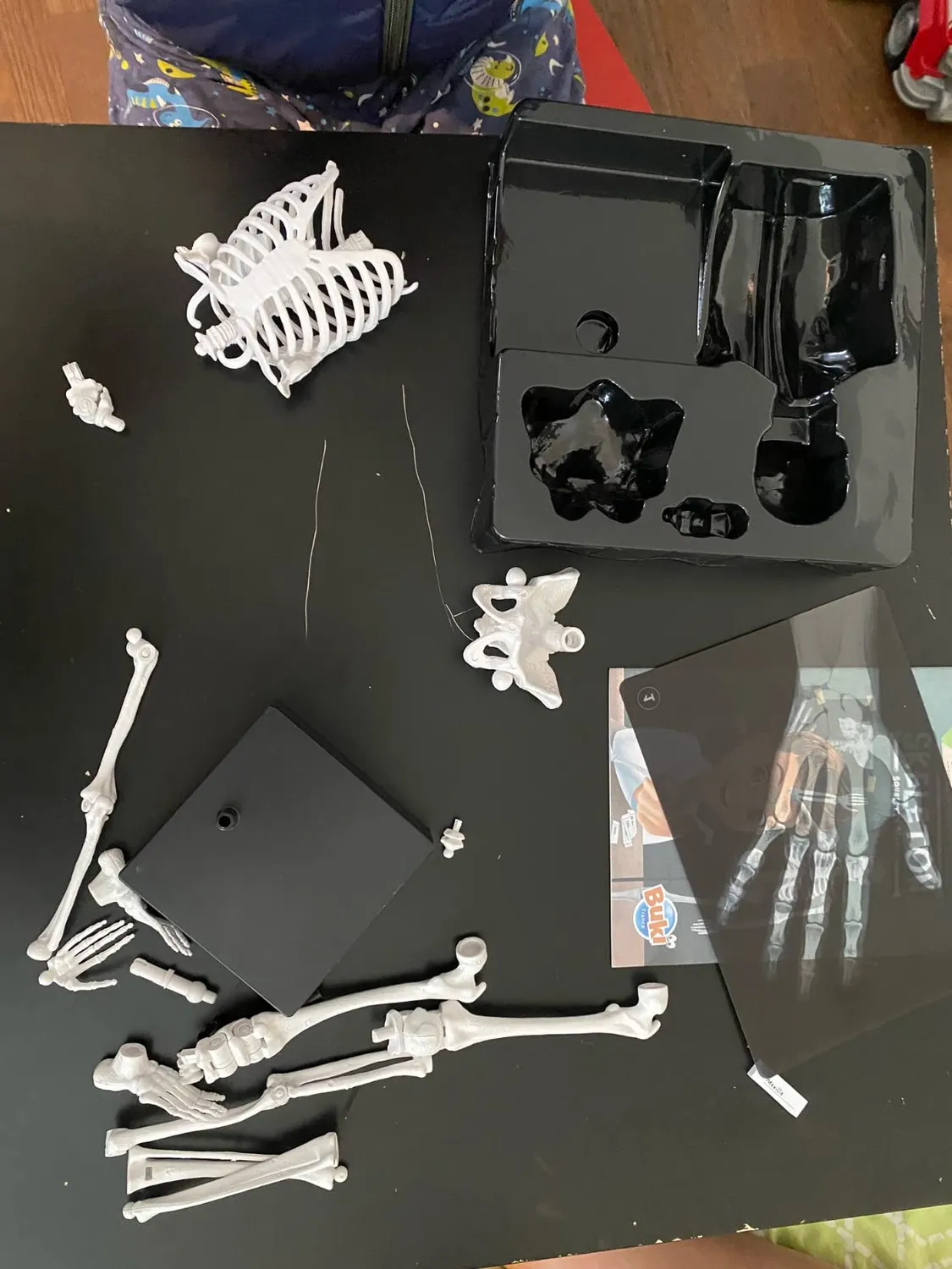 Buki France 2180 Skelett Modell 45 cm Anatomie