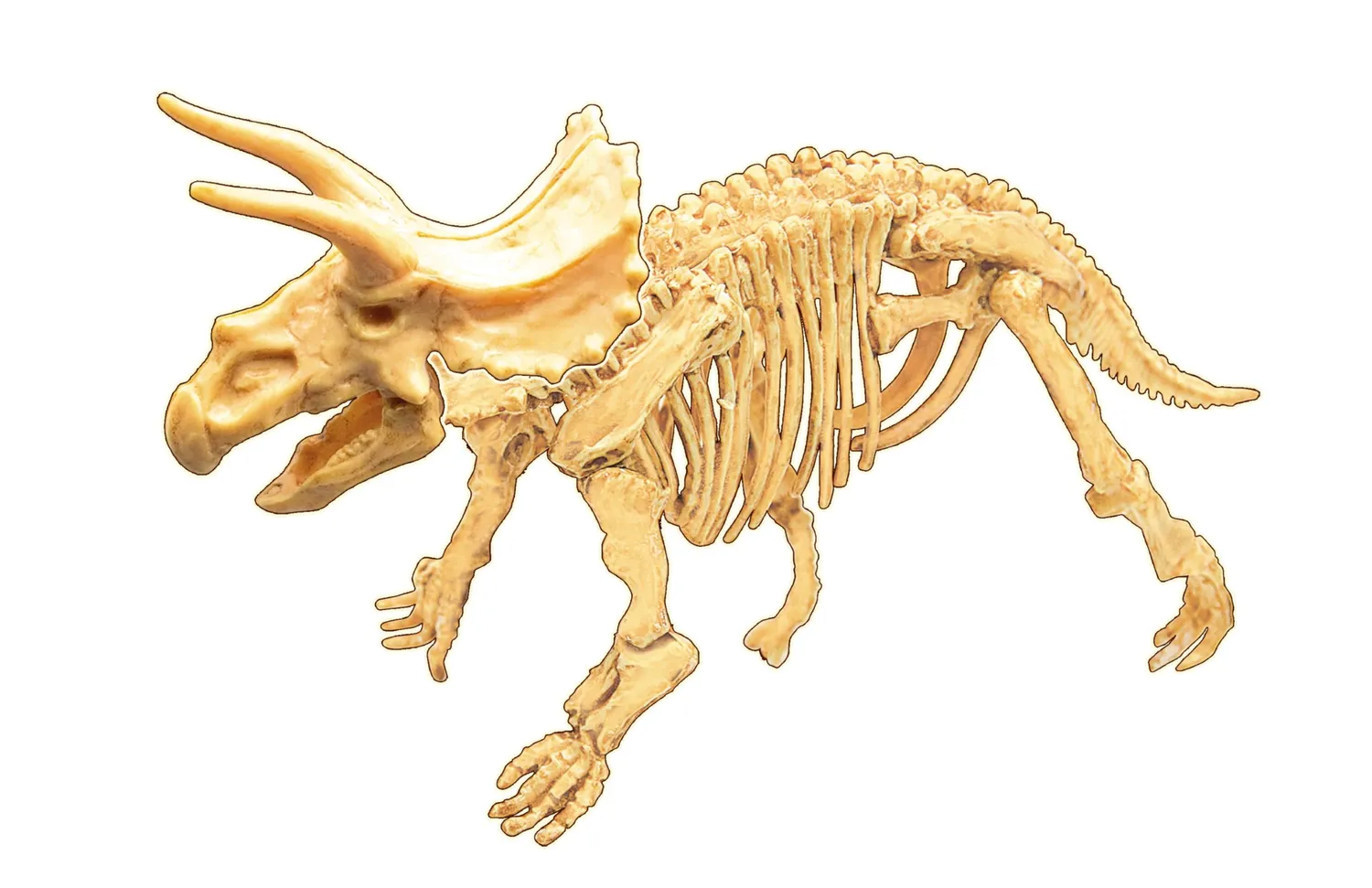 Buki France 445TRI Ausgrabungsset Triceratops 20 cm ab 8 Jahren