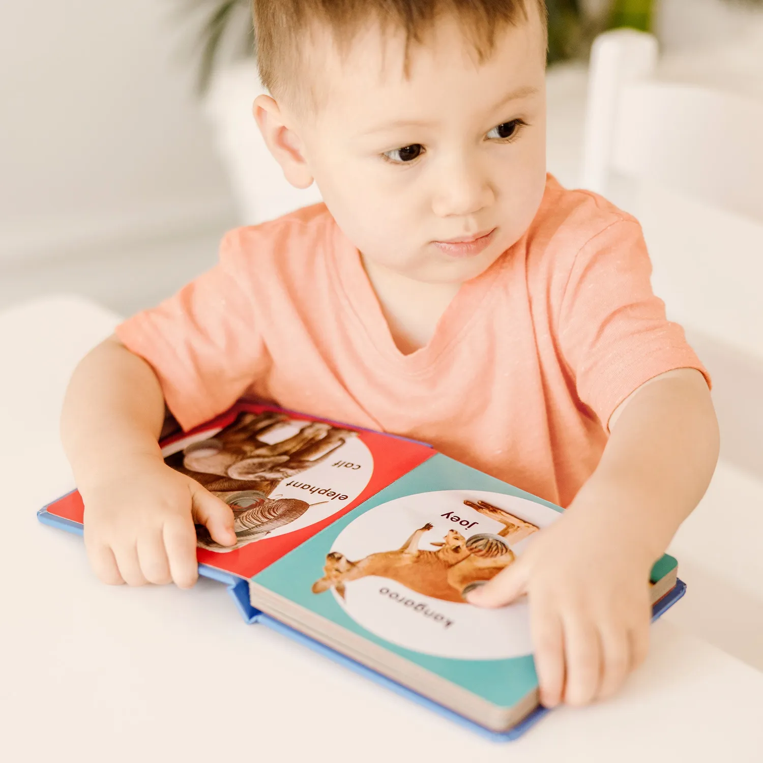 Melissa & Doug Poke-a-Dot Wild Animal Families Pappbilderbuch Tiere