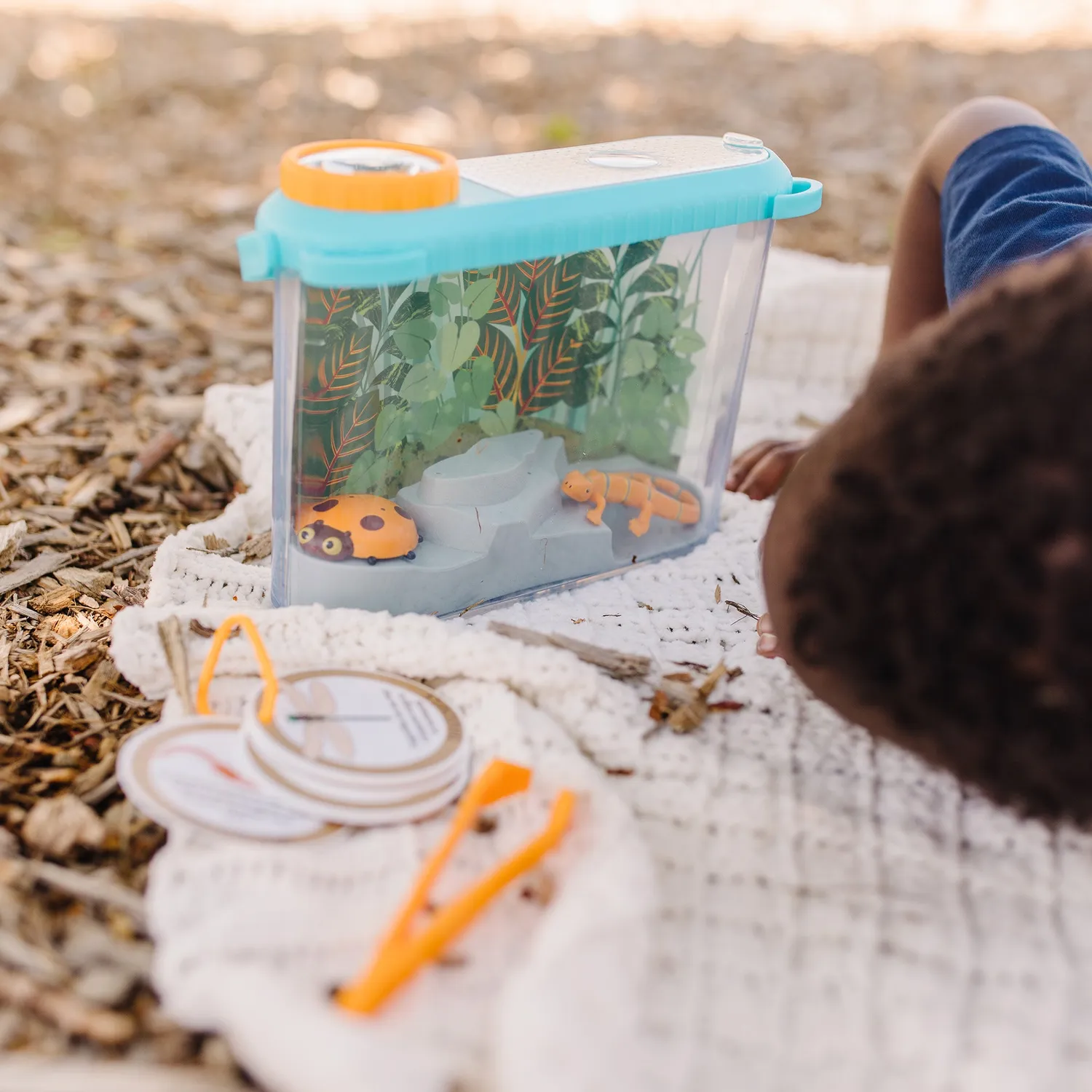 Melissa & Doug Let's Explore Terrarium Beobachtungsset Insekten
