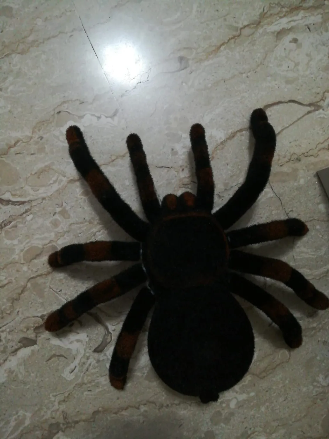Buki 37291 Funkgesteuerte Tarantel Spinne ferngesteuert