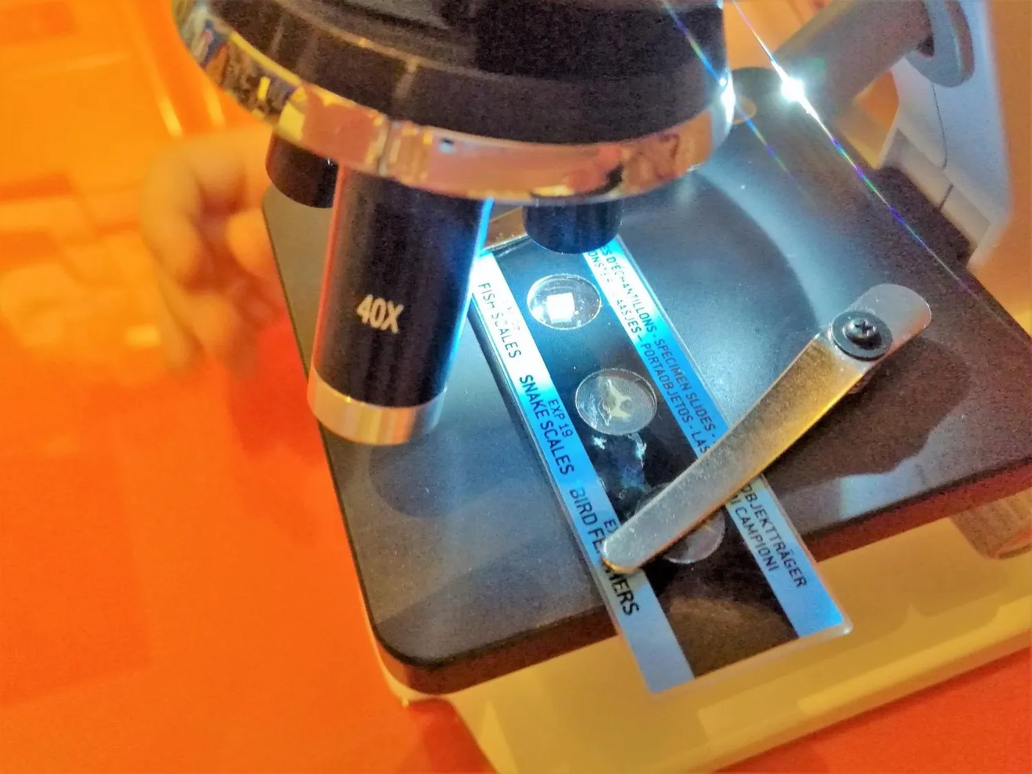 Buki MR600 Mikroskop 50 Experimente mit Glaslinsen LED
