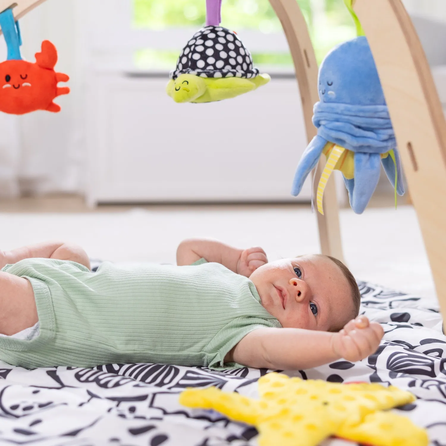Melissa & Doug Ocean Easy-Fold Spielbogen Baby Ozean